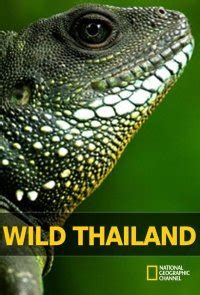 Дикая природа Таиланда 1 сезон